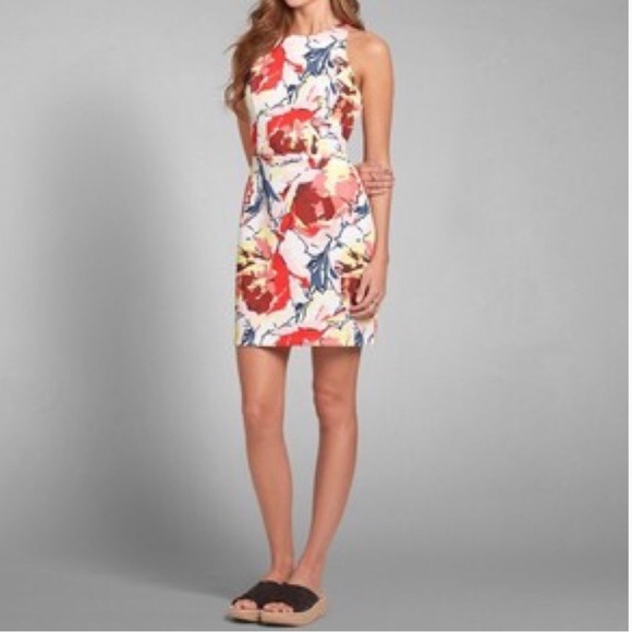 Abercrombie & Fitch Scuba Floral Dress - Picture 3 of 8